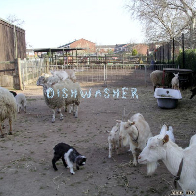 Dishwasher - Whre Are Tu?
